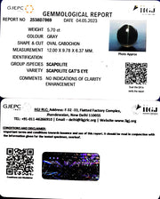 5.70/CT Natural Scapolite Cat's Eye with Govt. Lab Certified-(1221)